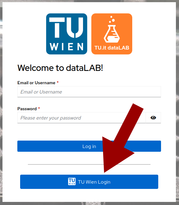 A screenshot of the login form. Click the "TU Wien Login" button at the bottom of the screen.